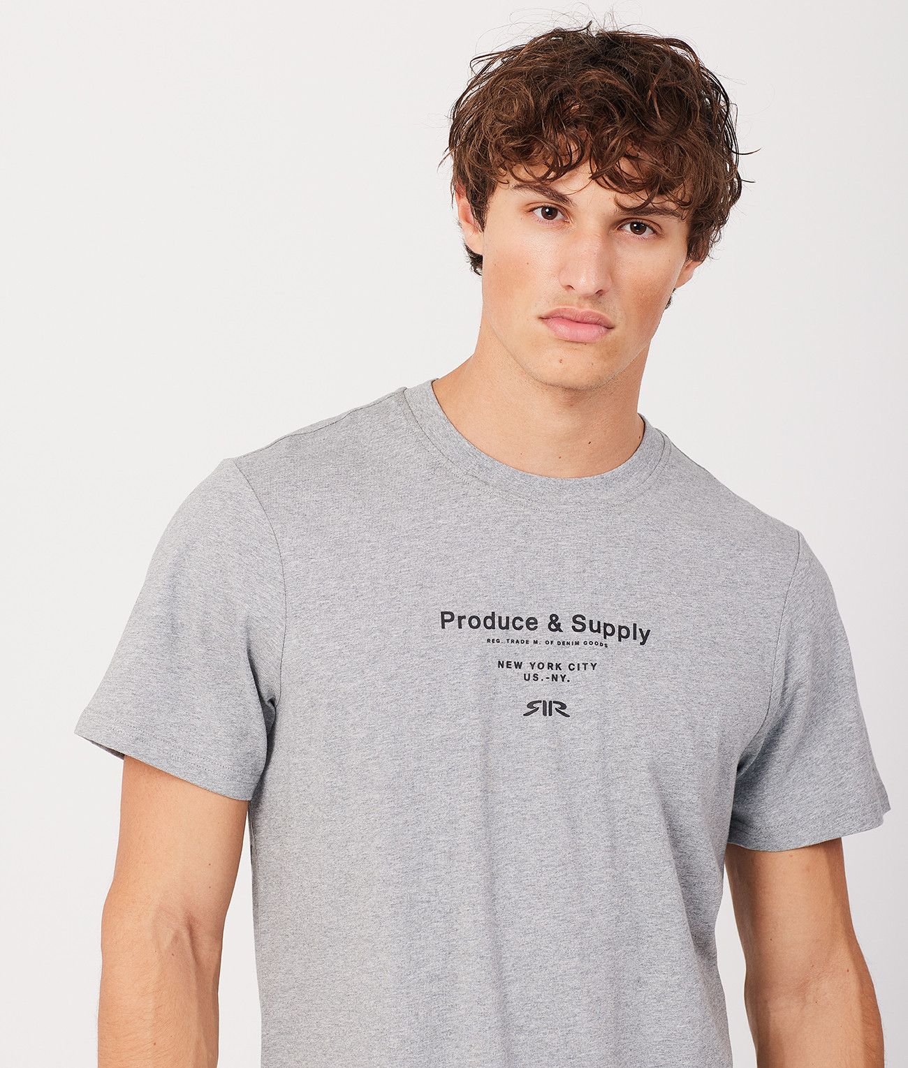 GREGORY T-SHIRT, GREY MELANGE